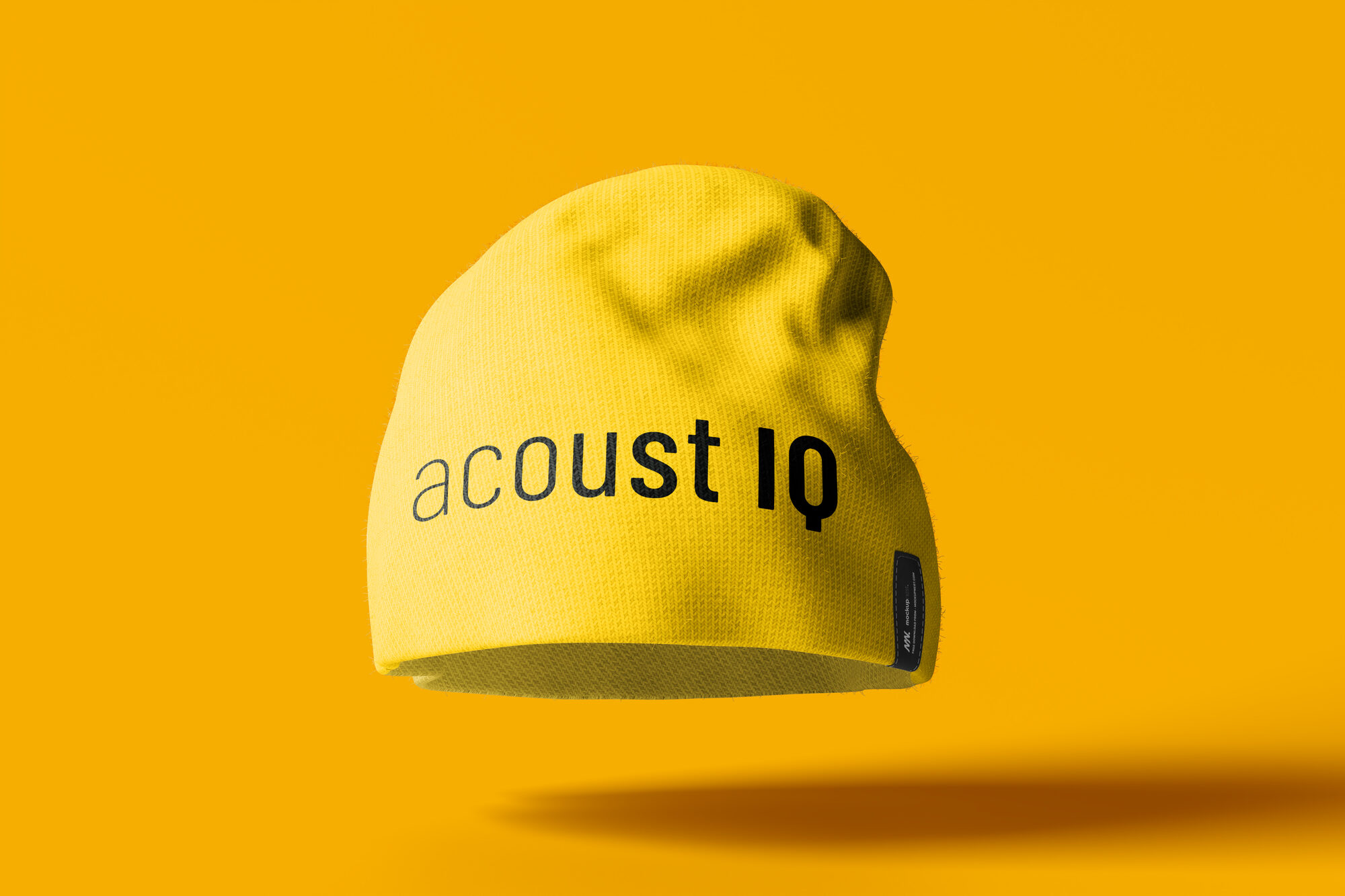 acoust IQ Beanie